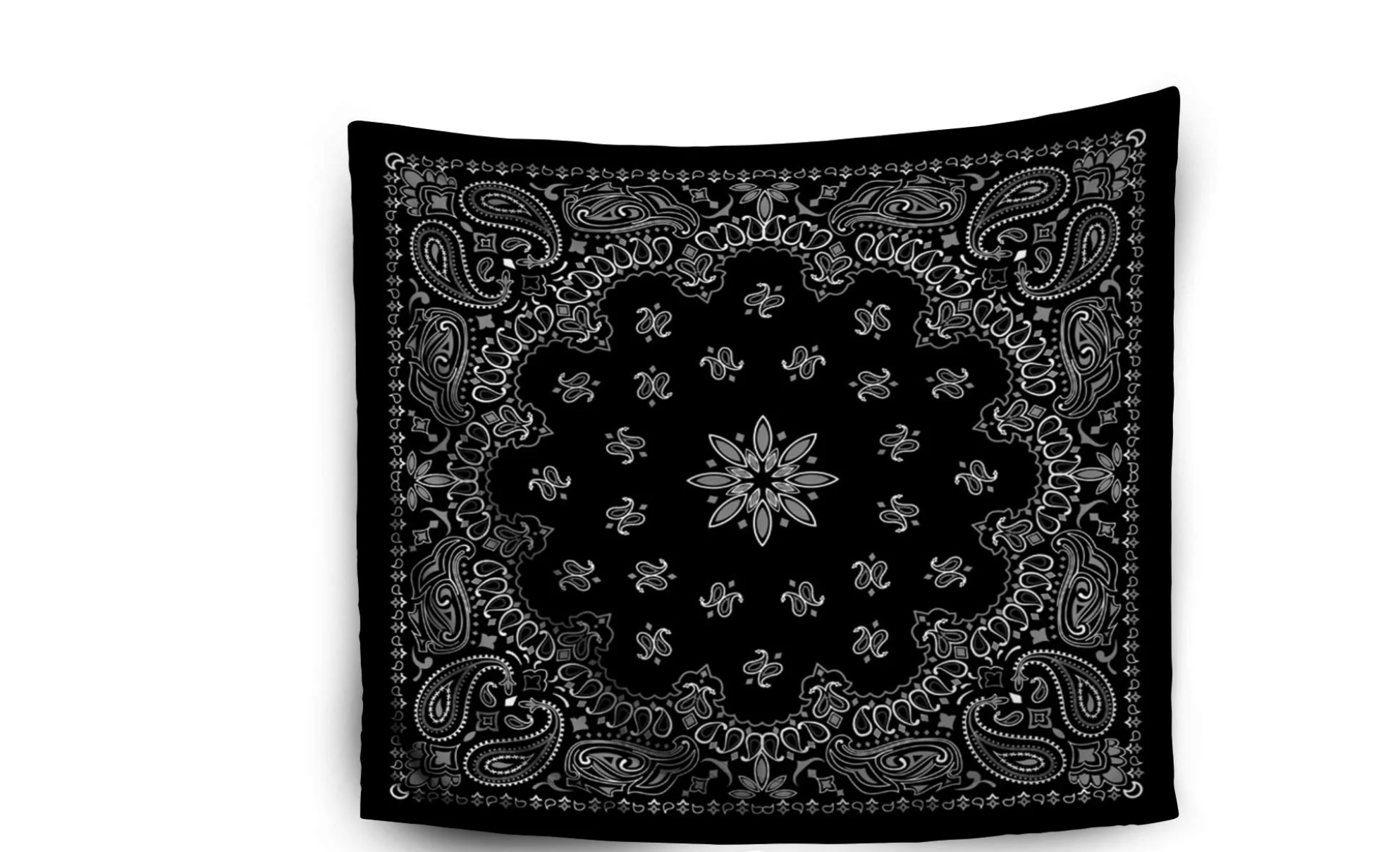 Black_Paisley_Tapestry