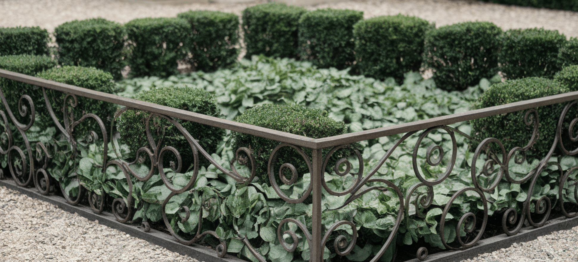 Wrought_Iron_Garden_Border