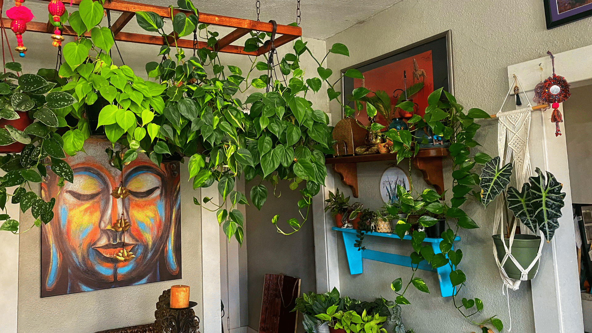 Rustic_Ladder_with_Hanging_Plants