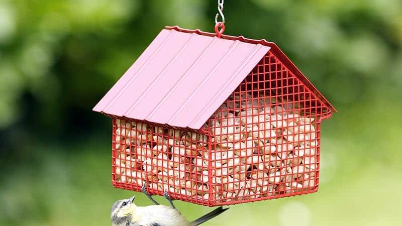 Decorative_Bird_Feeder