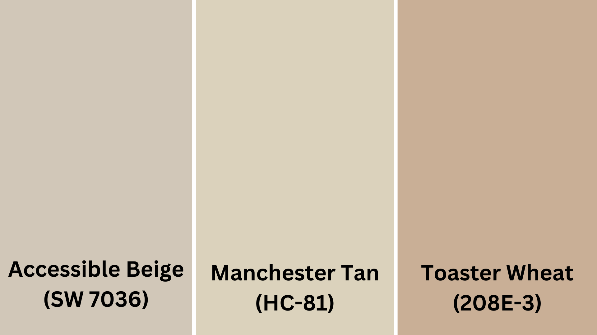 Balanced_Beige_and_Tan_Shades