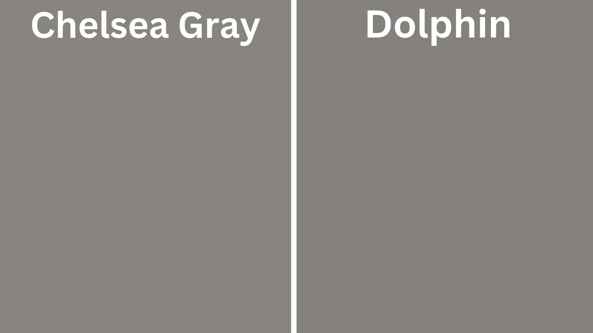 Chelsea_Gray_vs_Dolphin_SW_6187_ll