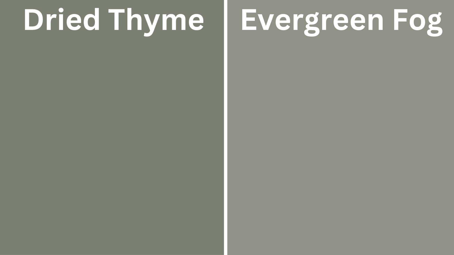 Dried_Thyme_vs_Evergreen_Fog_b