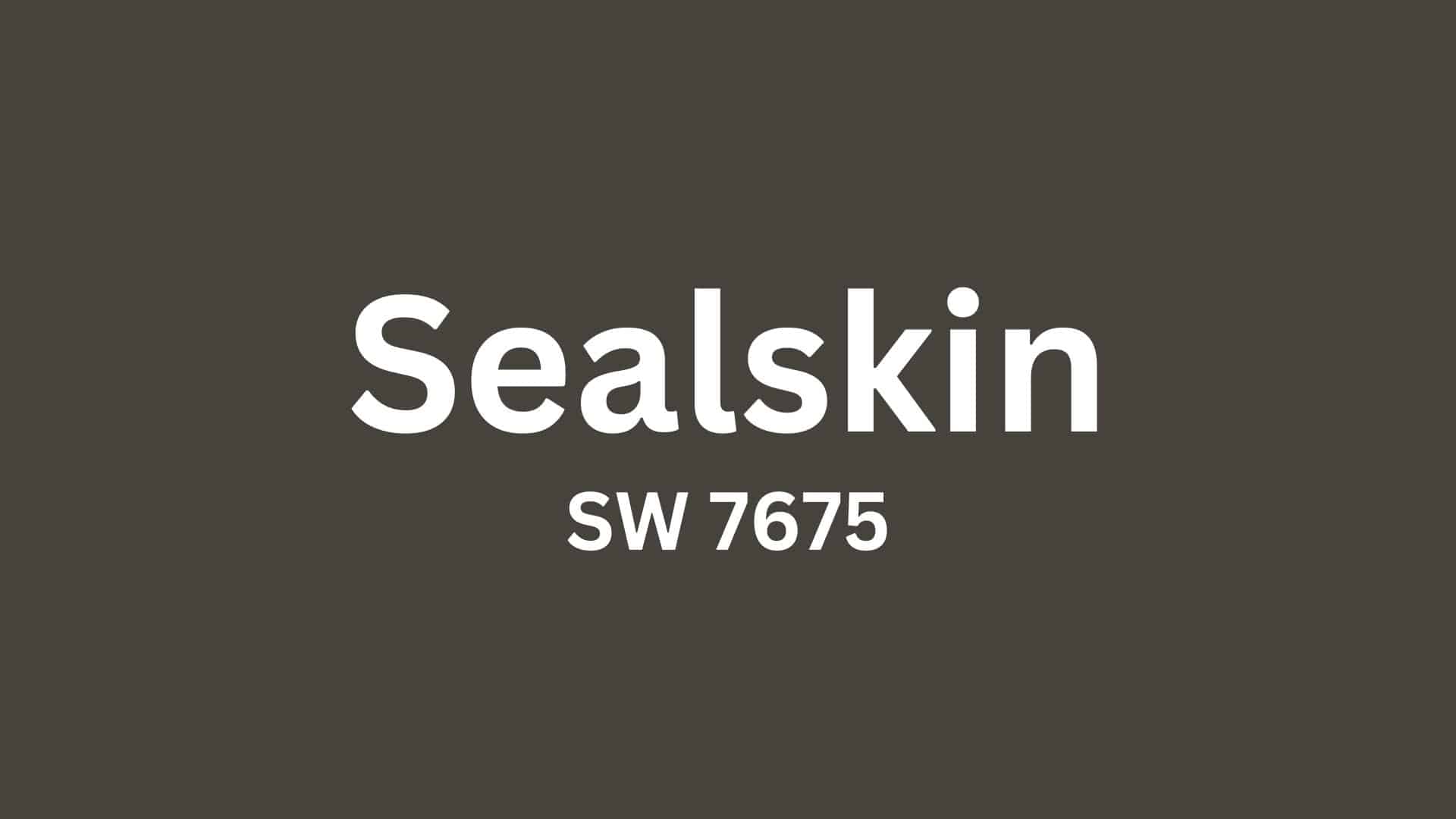 Sealskin_SW_7675