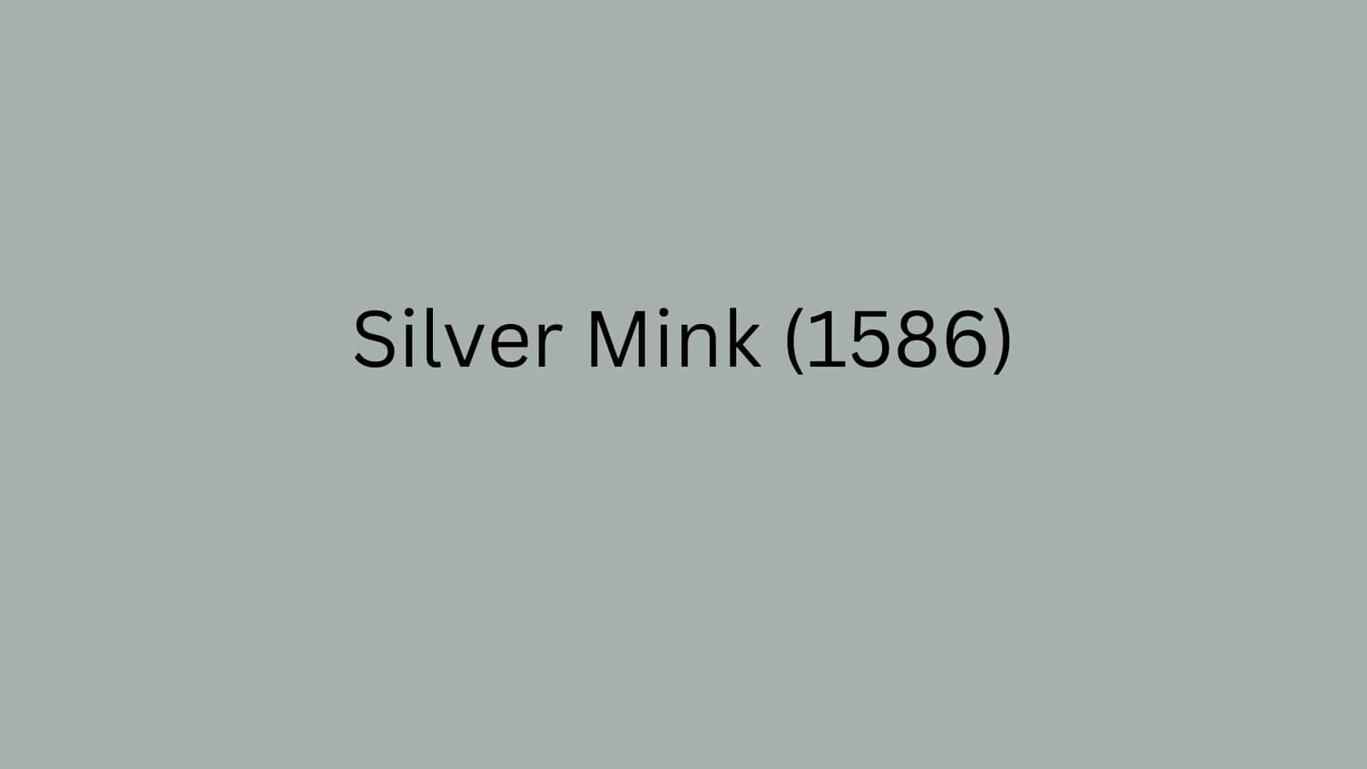 Silver_Mink_1586