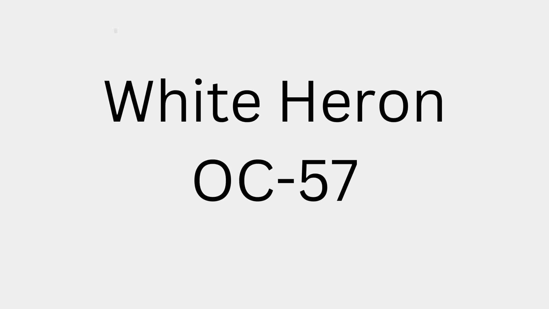 White_Heron_OC-57