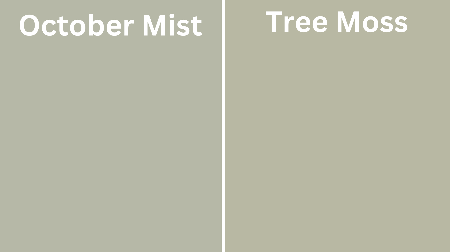 s-October_Mist_vs_Tree_Moss