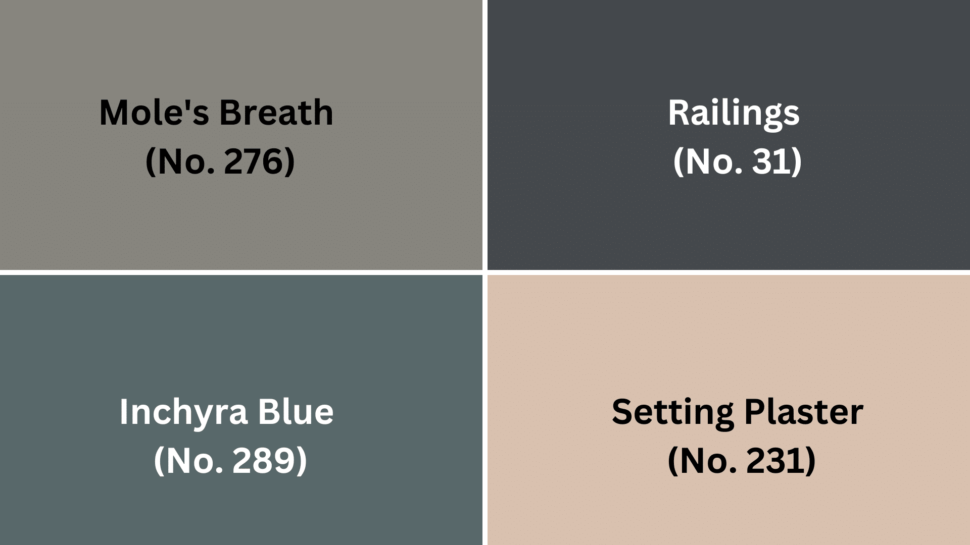 y-Color_Pairings_and_Combinations