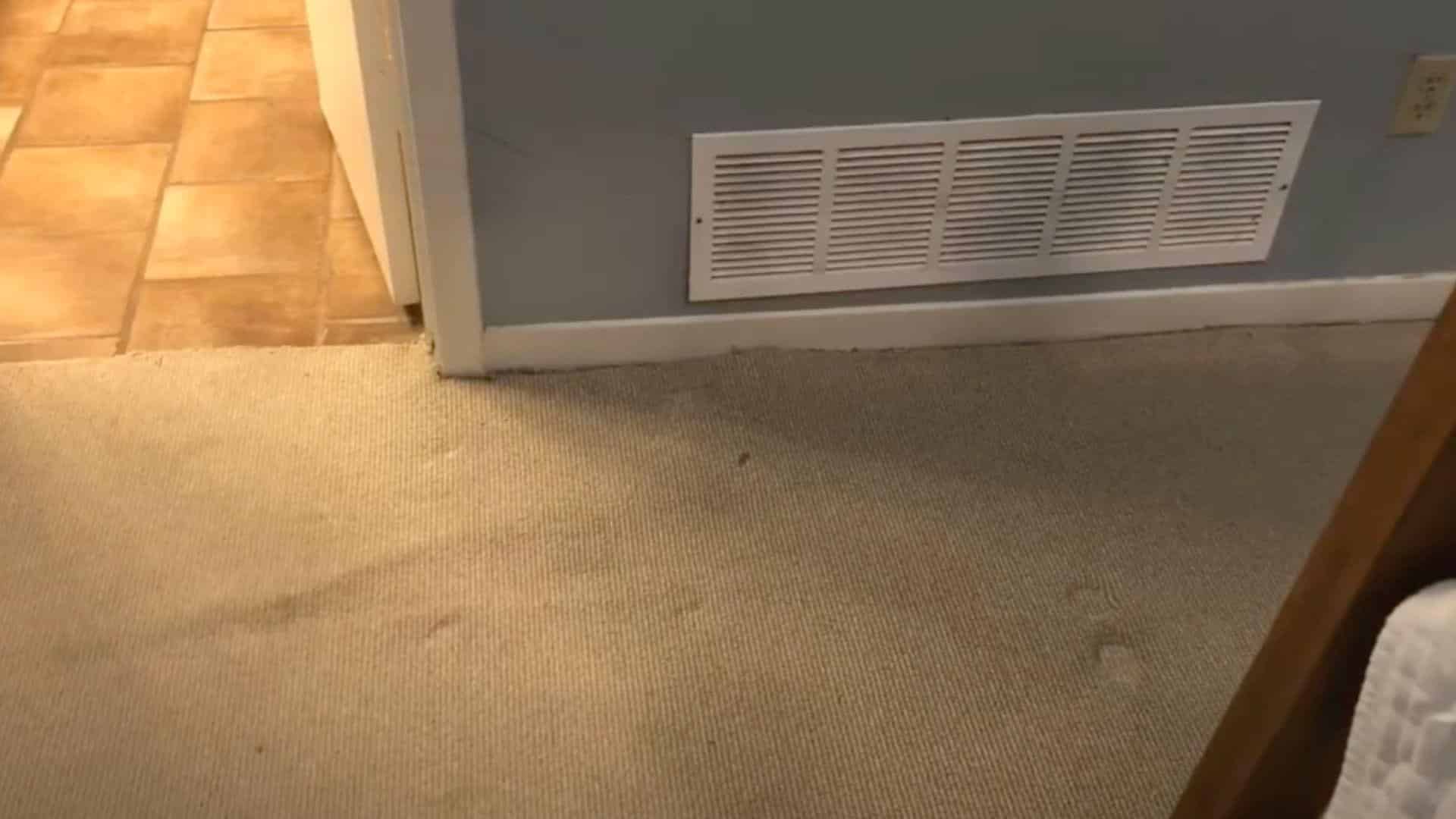 STEP_5_Clean_Up_and_Restore_the_Area