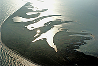 711e39e823.jpg