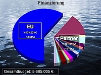 e469ae6917.jpg