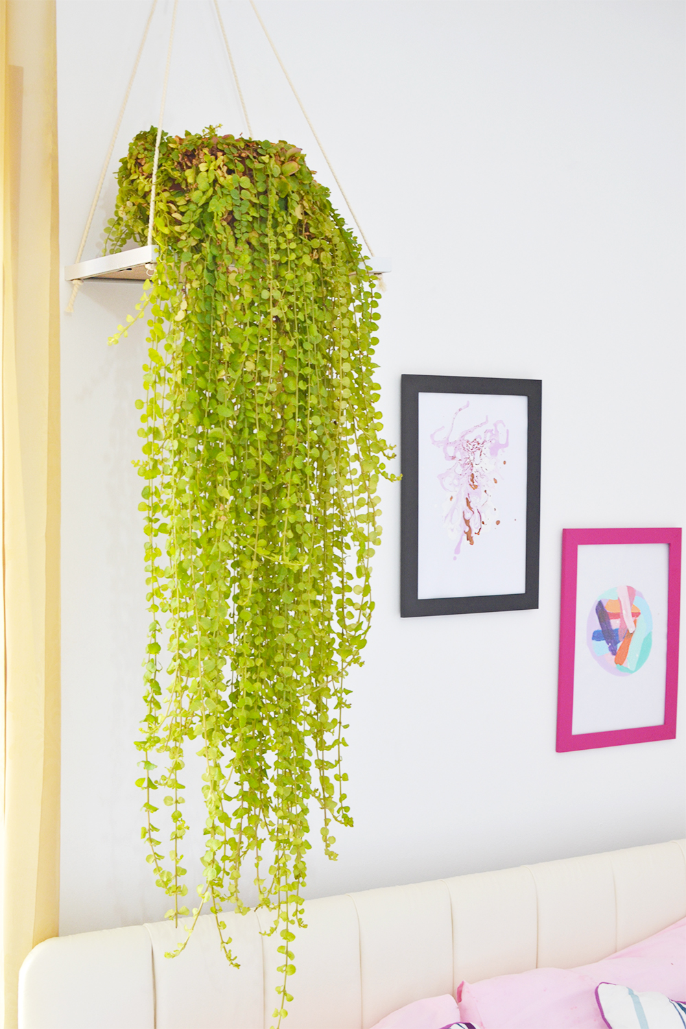 DIY Picture Frame Plant holder | Enthralling gumption