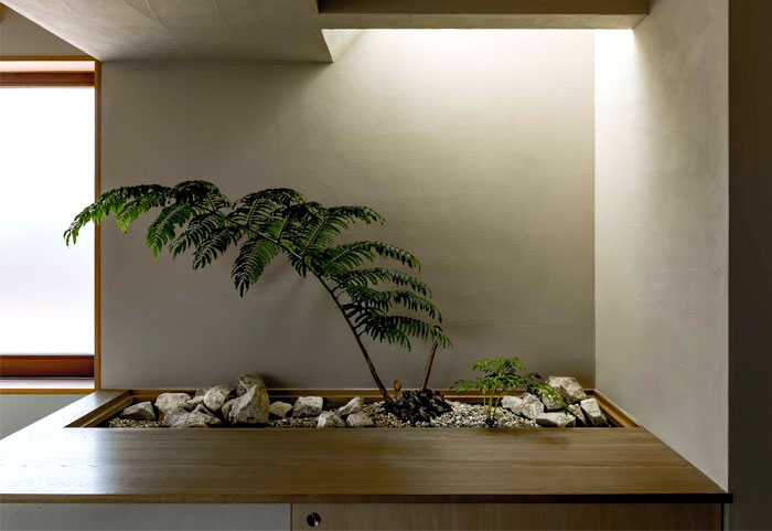 A Mini Indoor Zen Garden