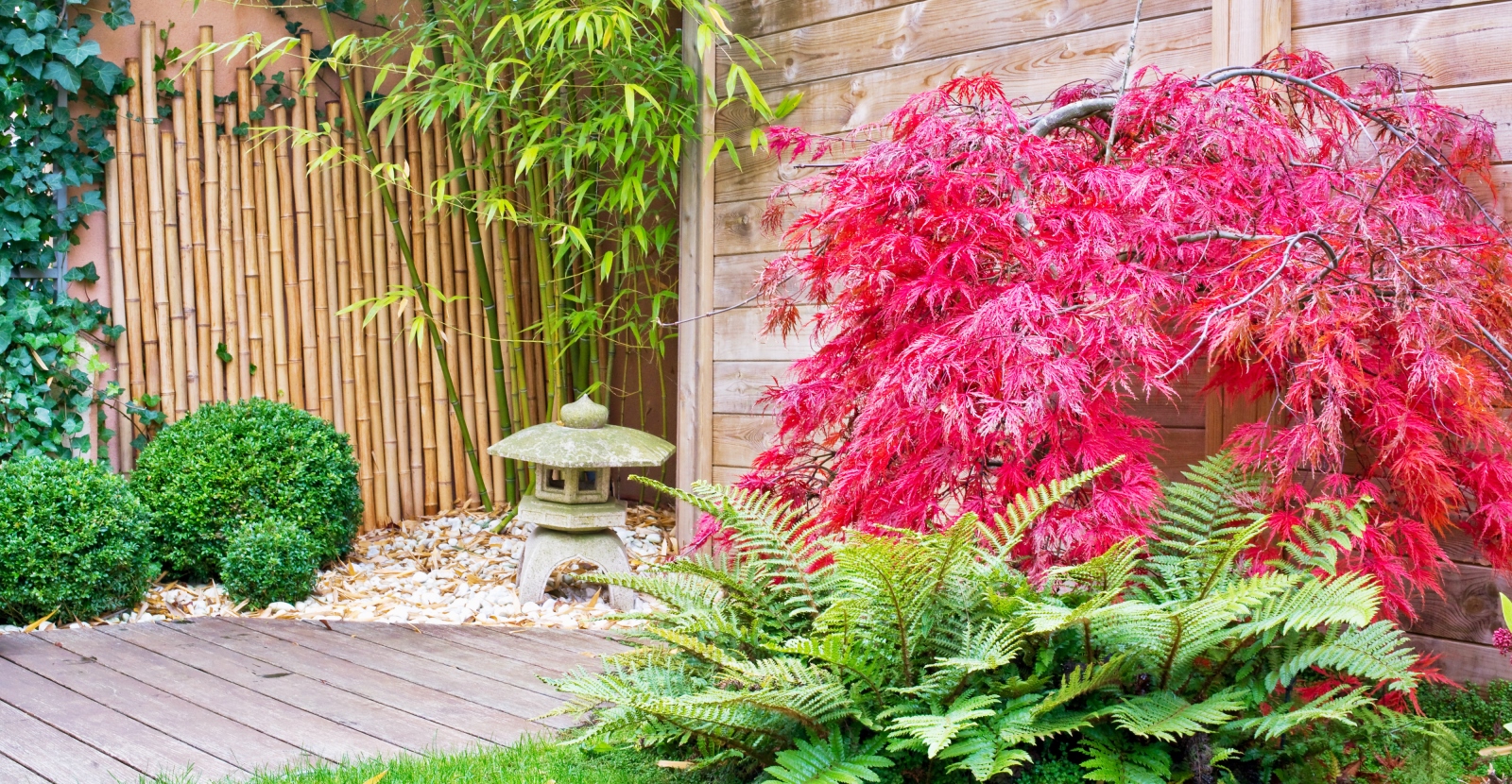 A Mini Zen Garden with Bamboo