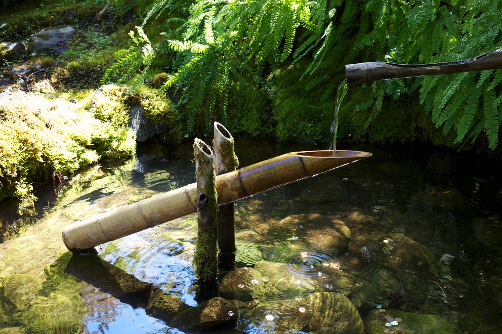 Add Bamboo to Your Water Feature