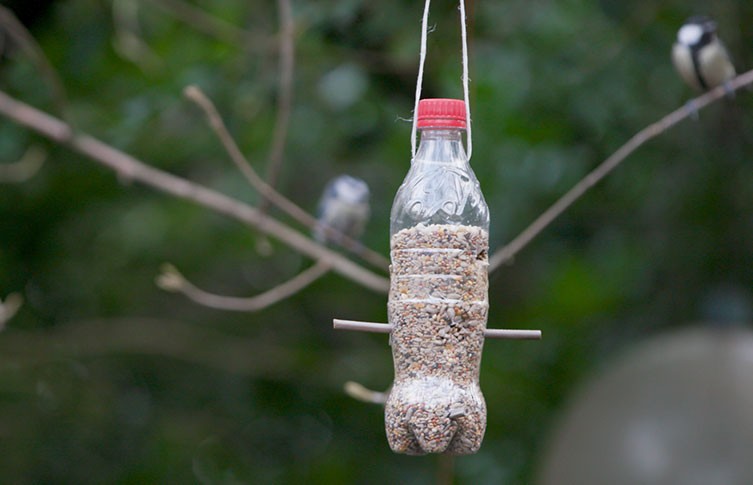 Bottle Bird Feeder