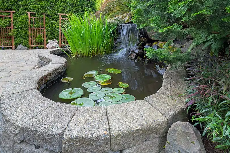Improve Pond Style