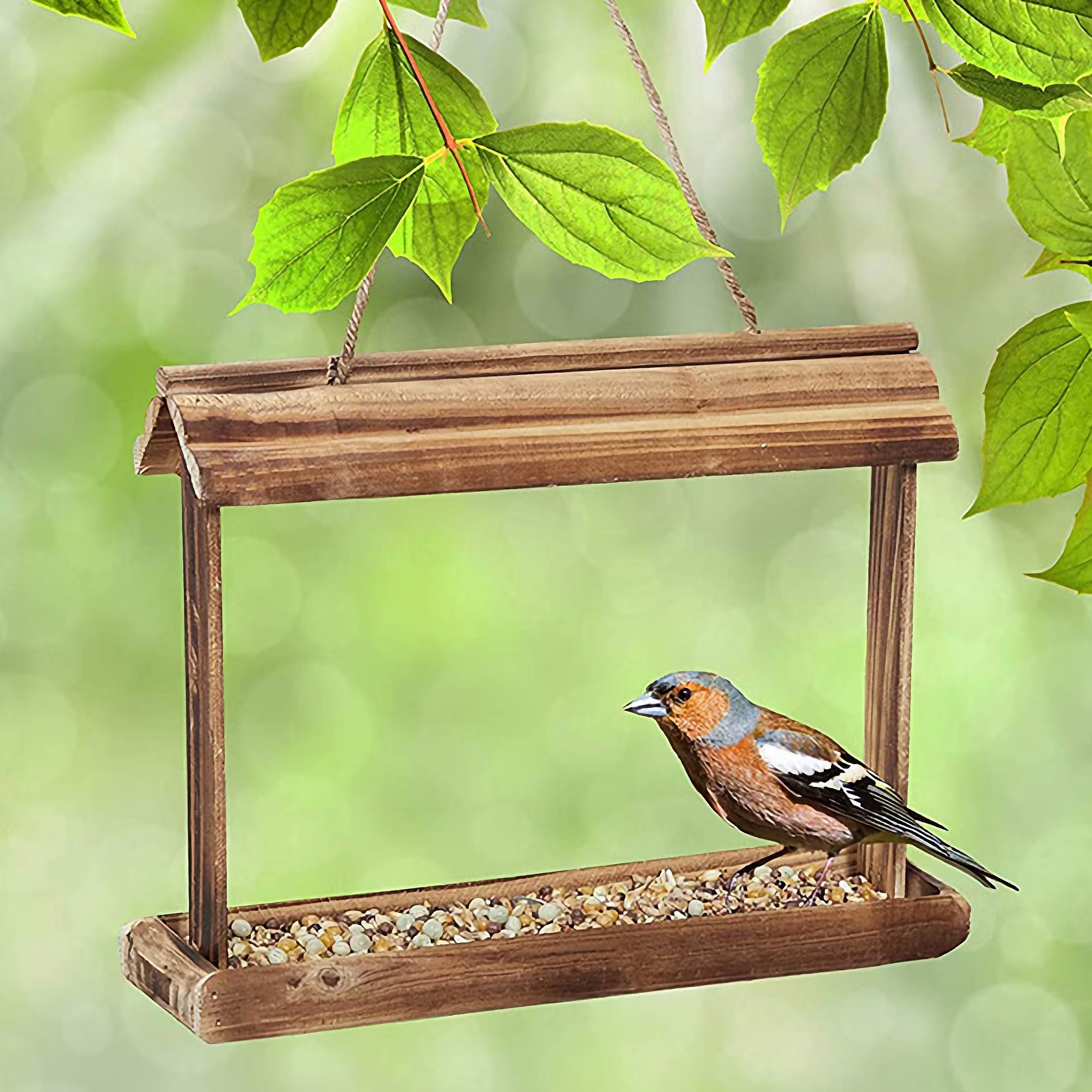 Personalized Bird Seed Design