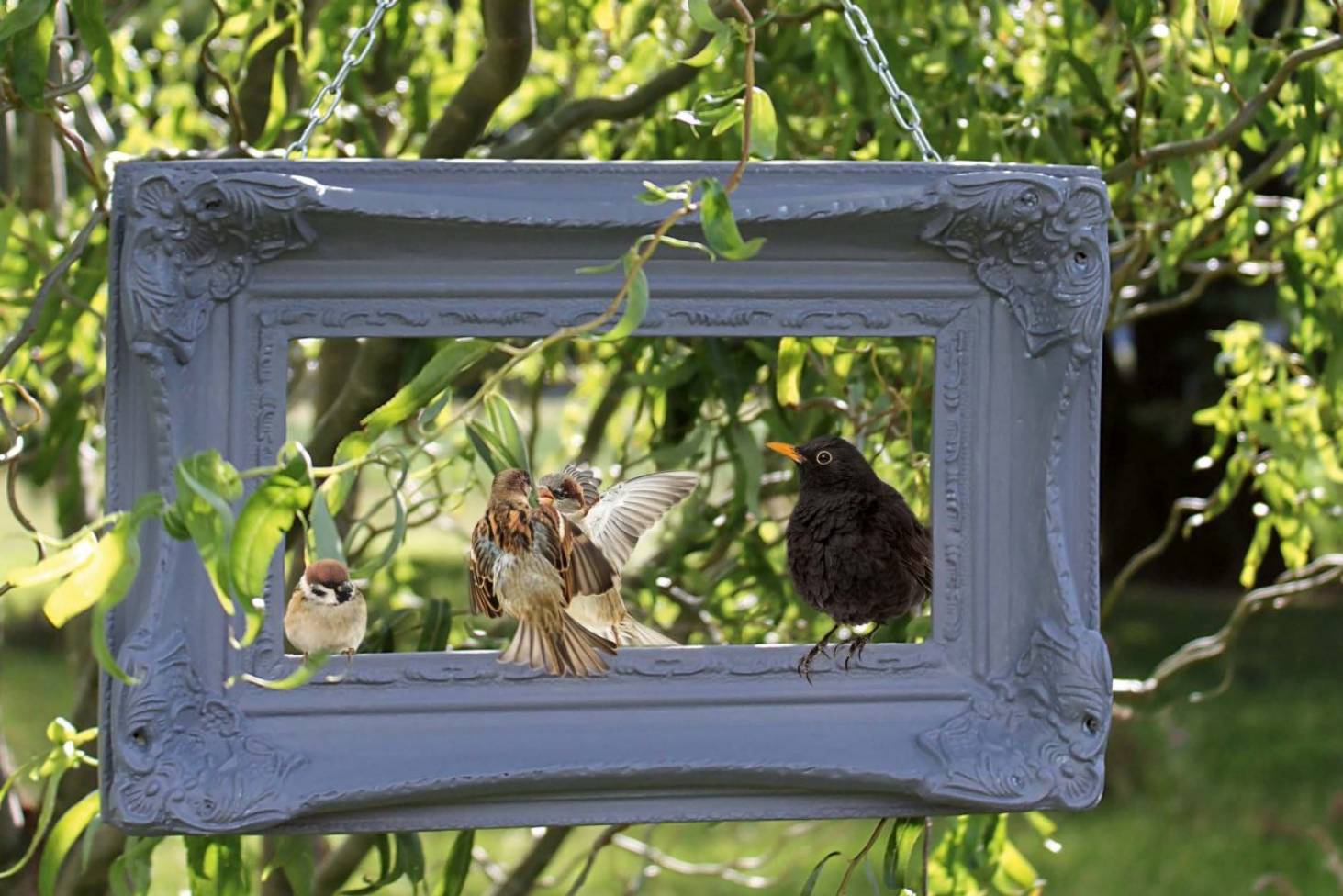 Picture Frame Bird Feeder