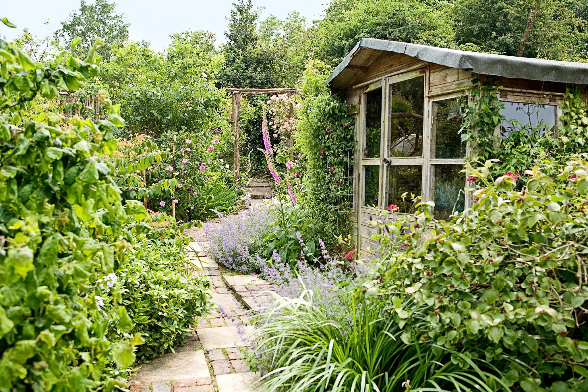 Small Shed