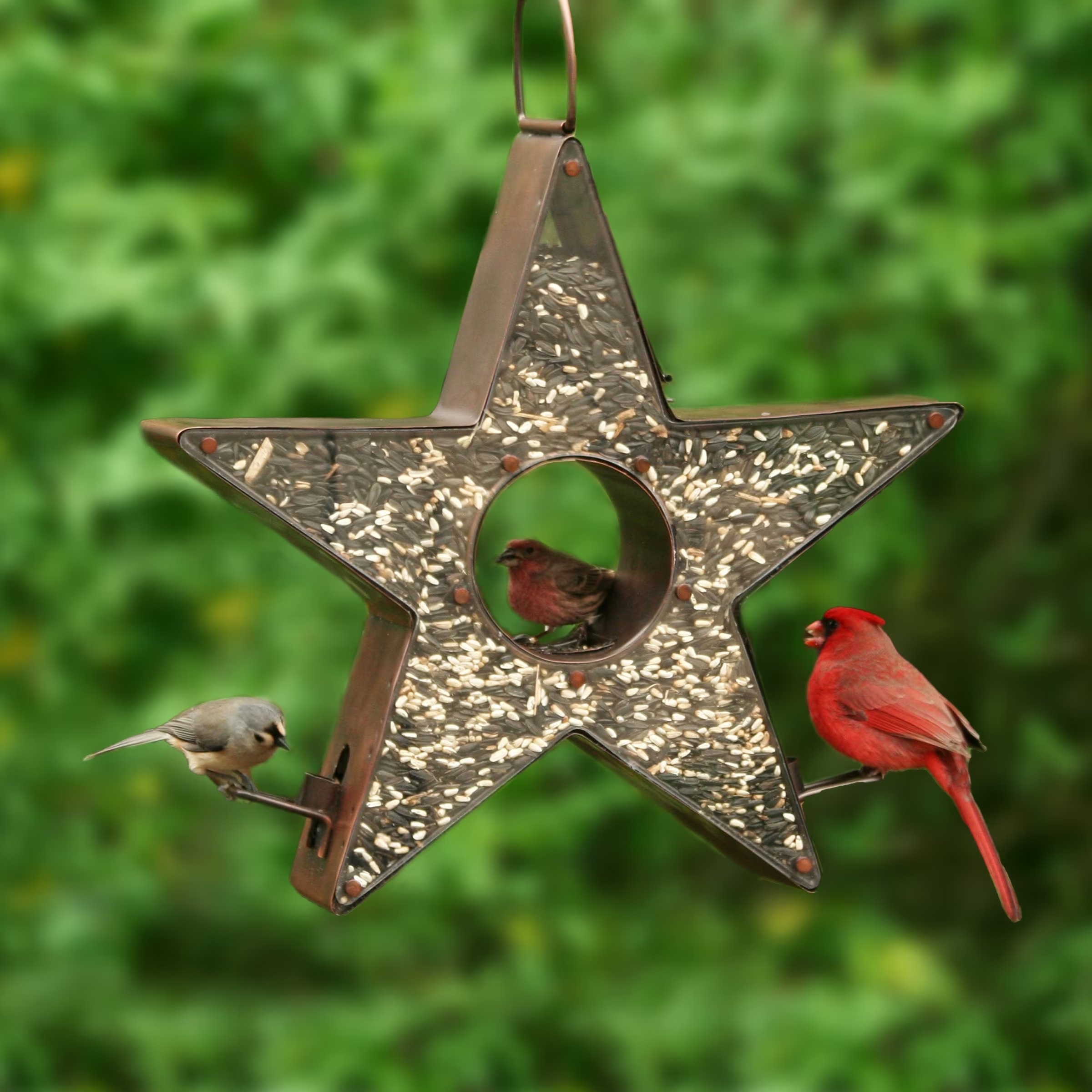Star Bird Feeder