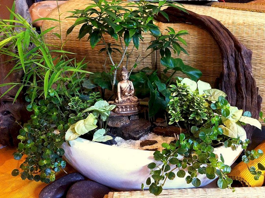 The Minimal Indoor Zen Garden