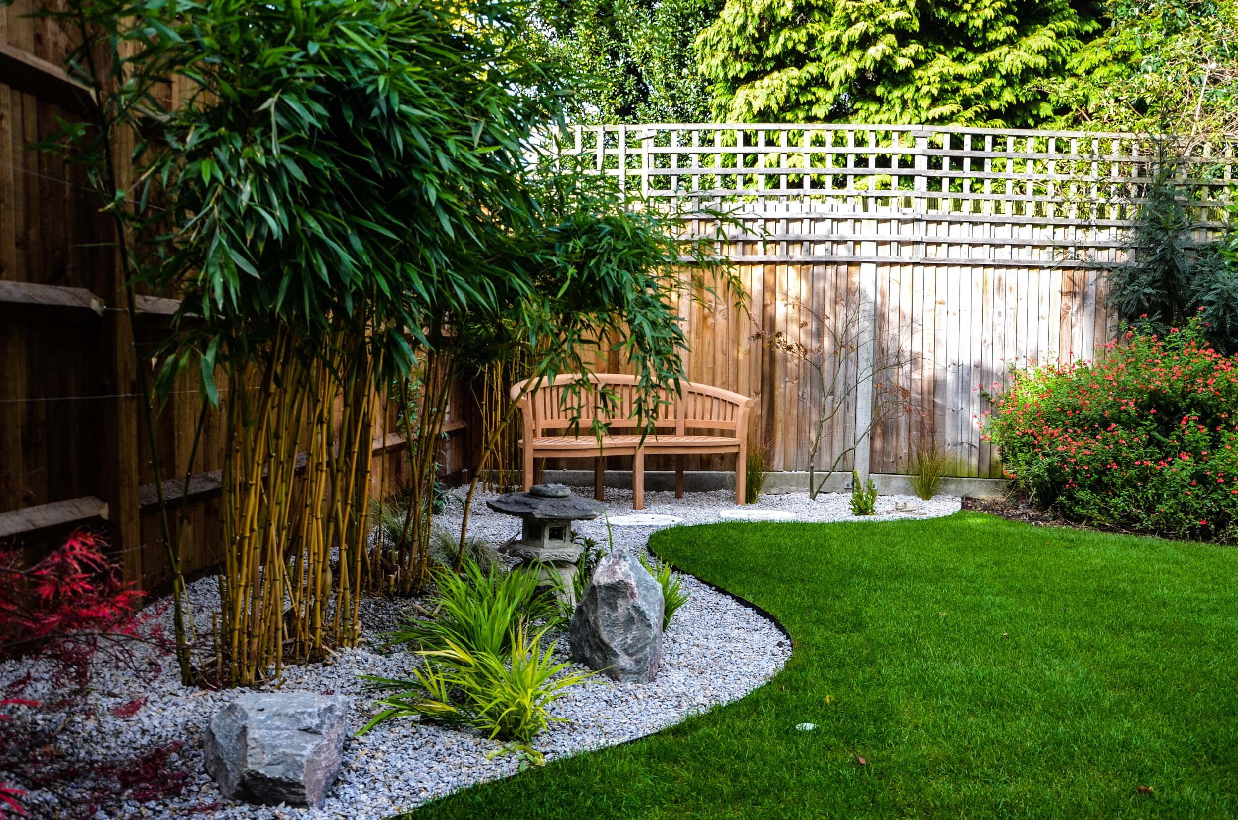 Using Bamboo in a Large Yard