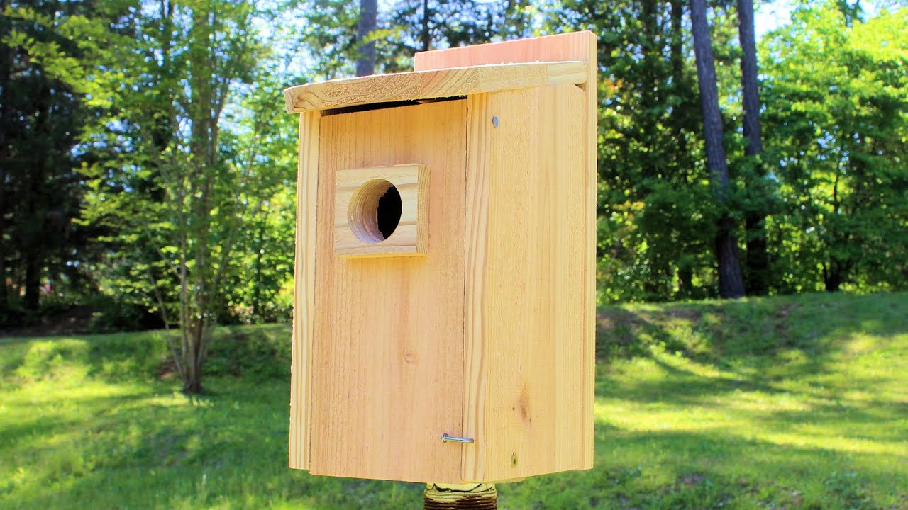 Build a Bird House with Just One Board