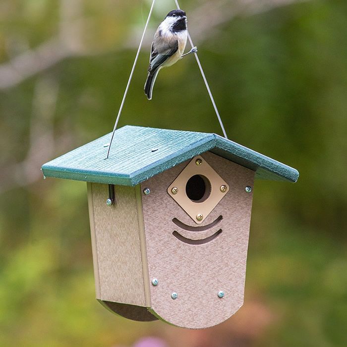 Build a Home for Wrens