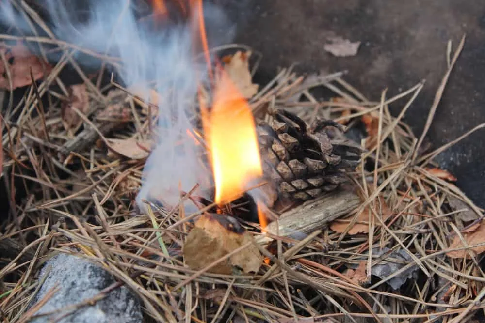 Can You Burn Pine Needles in a Fireplace?