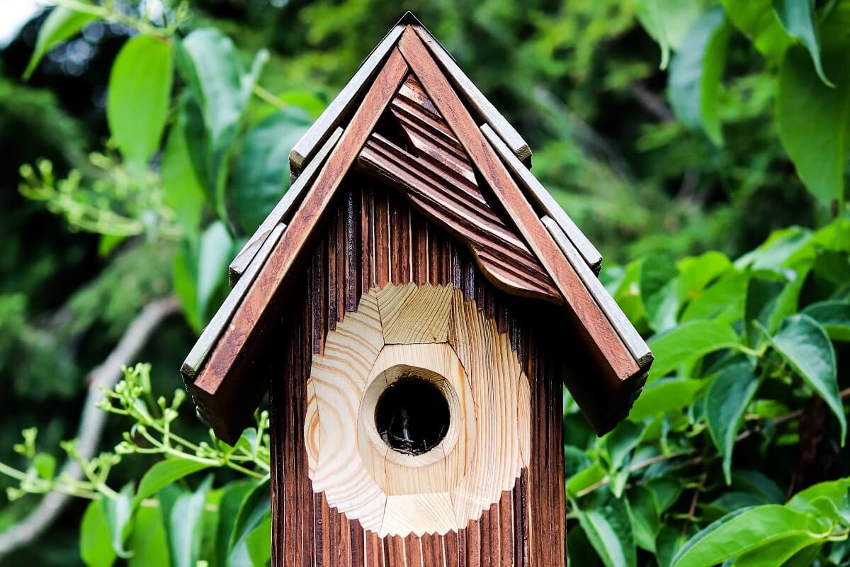 Craft a Fancy Birdhouse Yourself