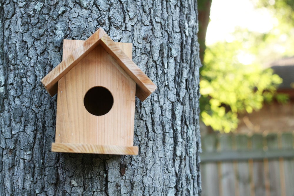 Create Your Birdhouse without Nails