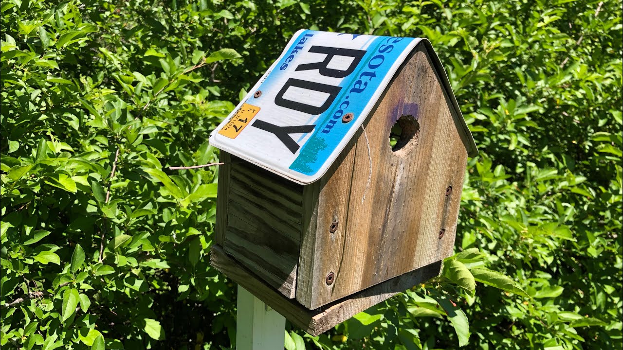 Create a Wren House from a License Plate