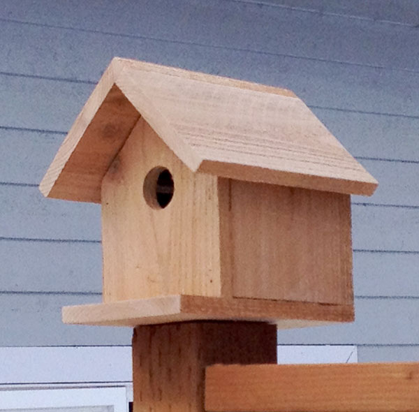 Easy Plans for Birdhouses