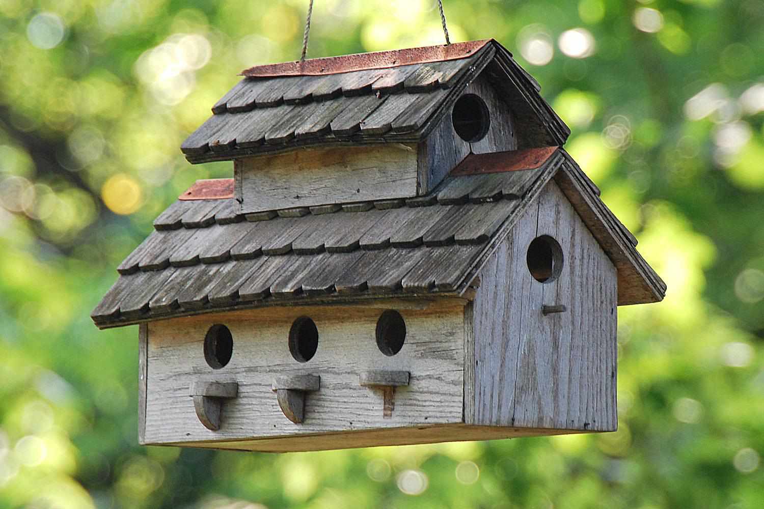 Make a Roomy Wooden Birdhouse