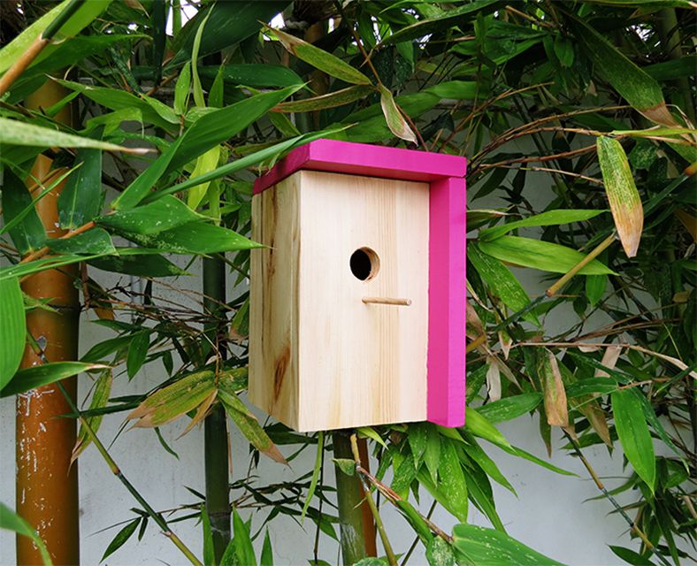 Short and Modern Bird House Plans