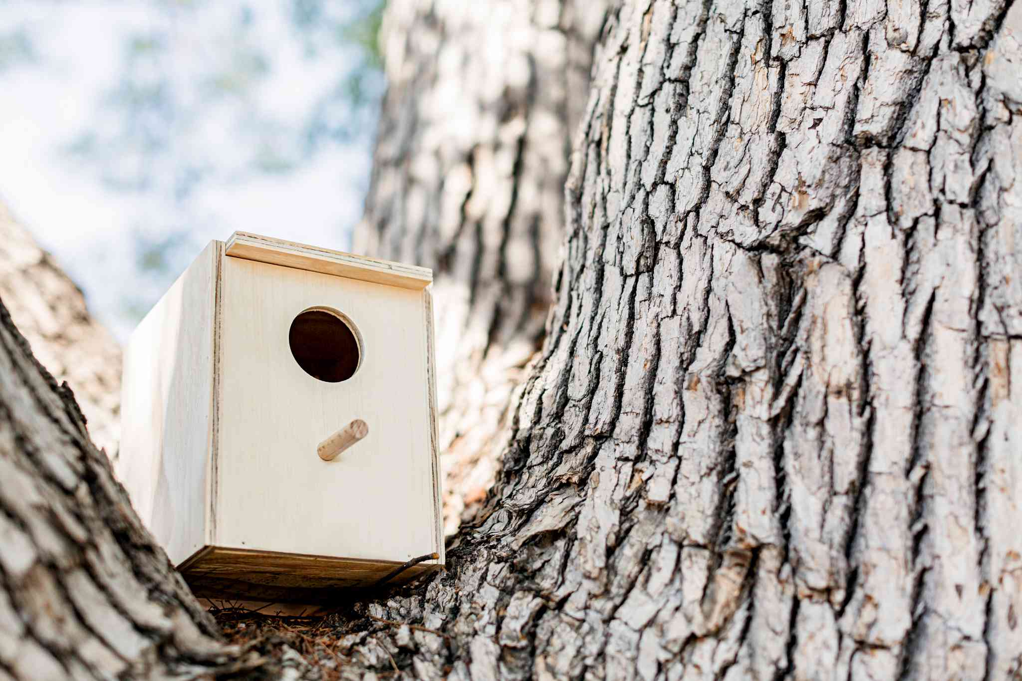 Simple DIY Birdhouse Idea