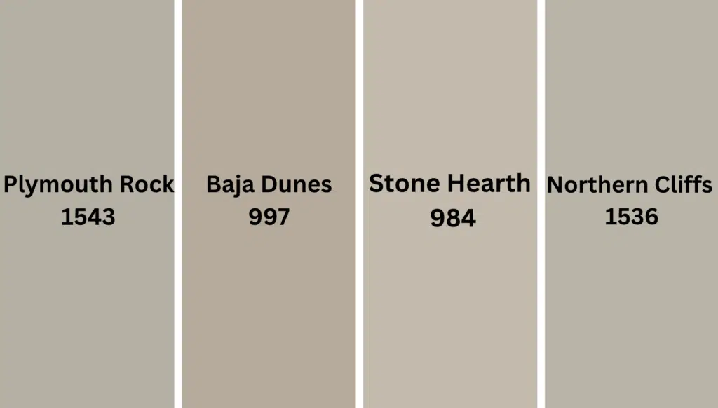 Pashmina Color Combinations