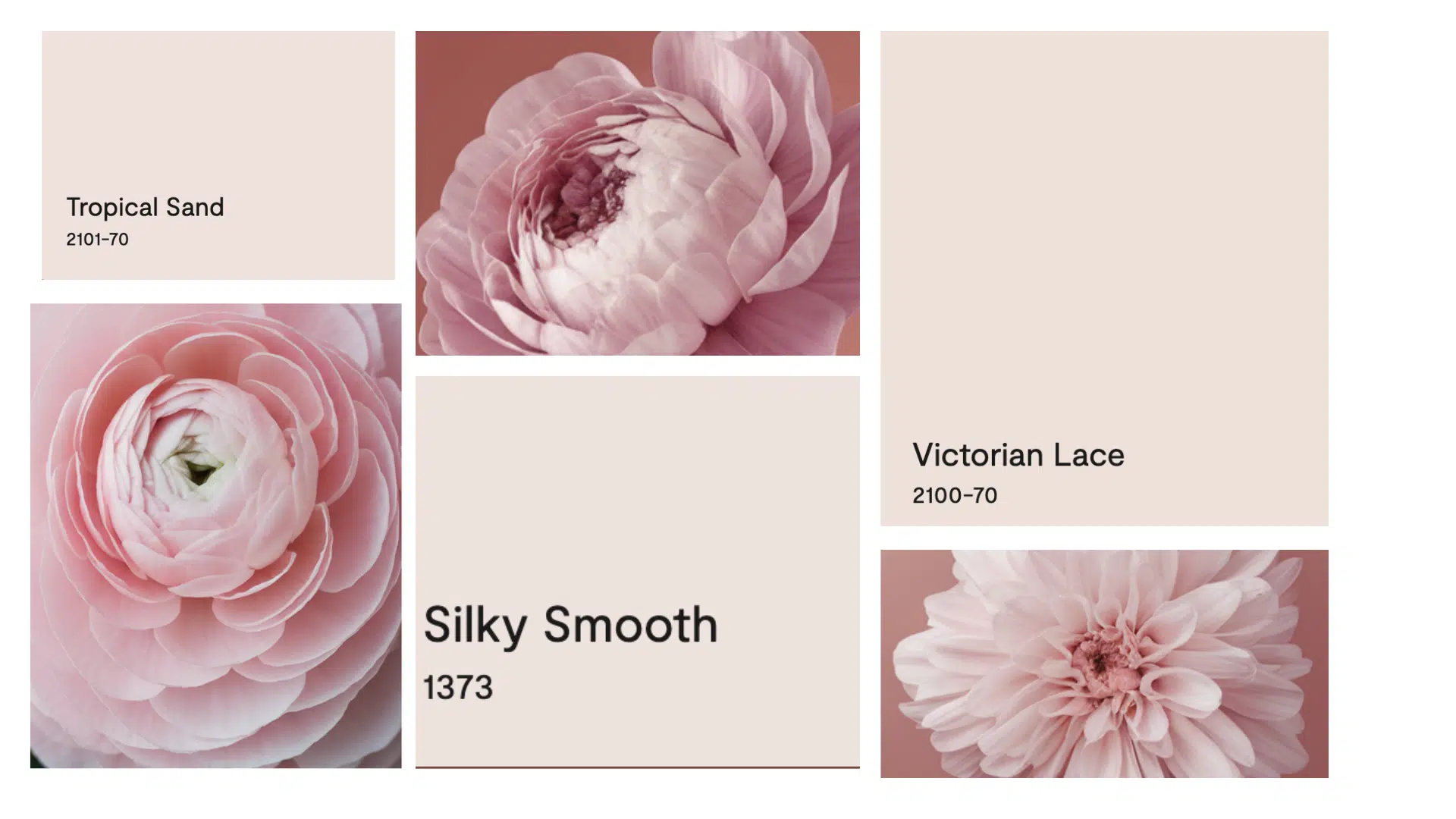 Benjamin Moore First Light (2102-70): A Review - Enthralling Gumption