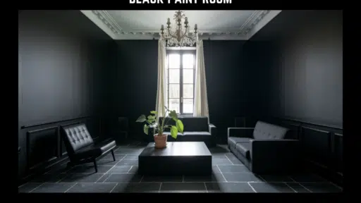 black room paint
