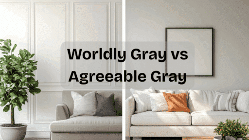 worldly gray vs agreeable gray
