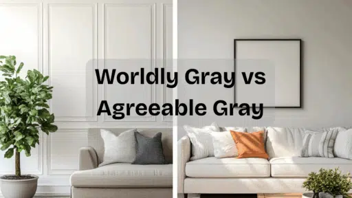 worldly gray vs agreeable gray
