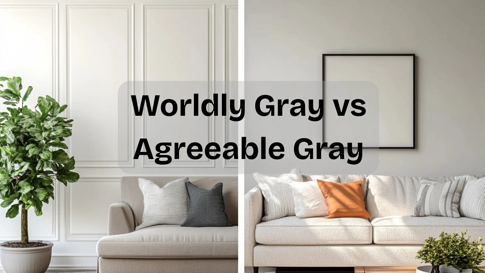 worldly gray vs agreeable gray