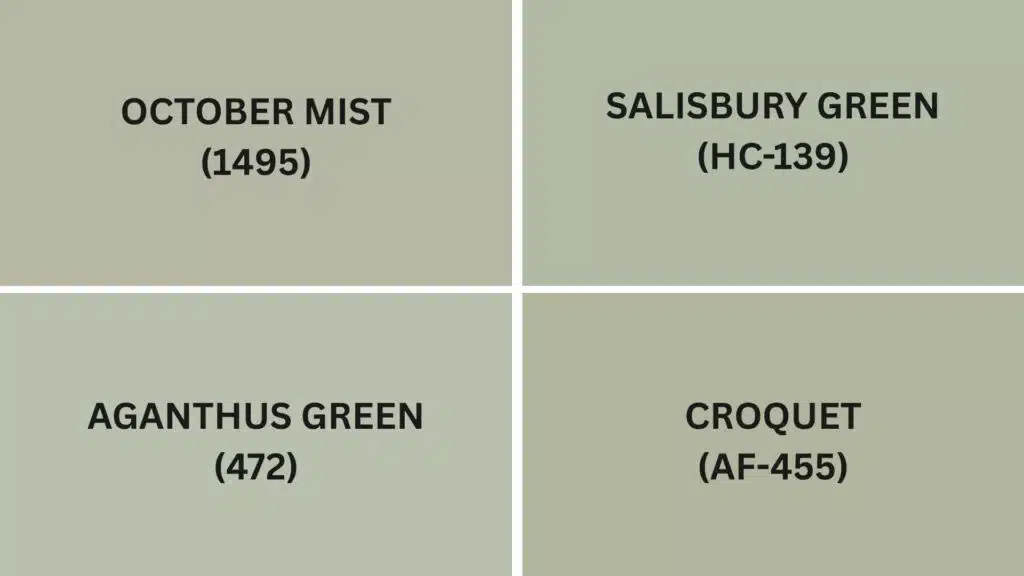 Alternative Paints Similar to Saybrook Sage