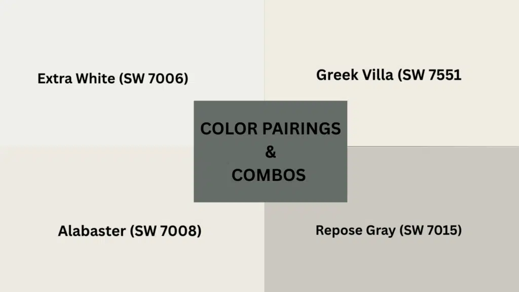 Color Pairings and Combinations for Homburg Gray