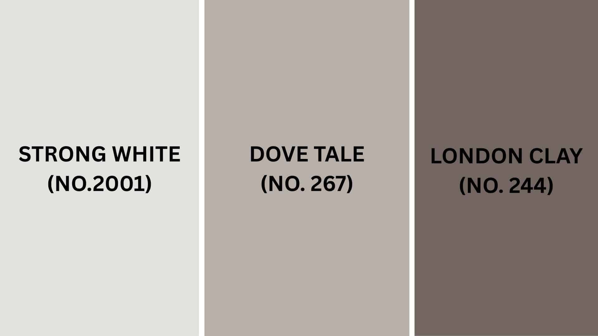 Color_Pairings_and_Combinations_for_Farrow__Ball_Elephants_Breath_No_229