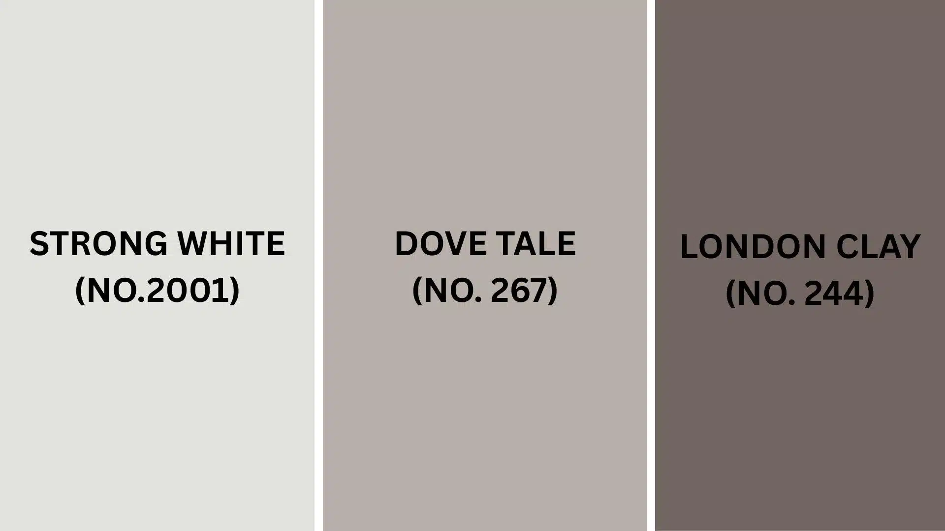 Color_Pairings_and_Combinations_for_Farrow__Ball_Elephants_Breath_No_229