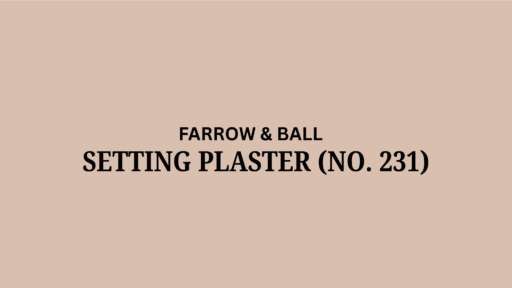 Farrow and Ball Setting Plaster (No. 231): A Review