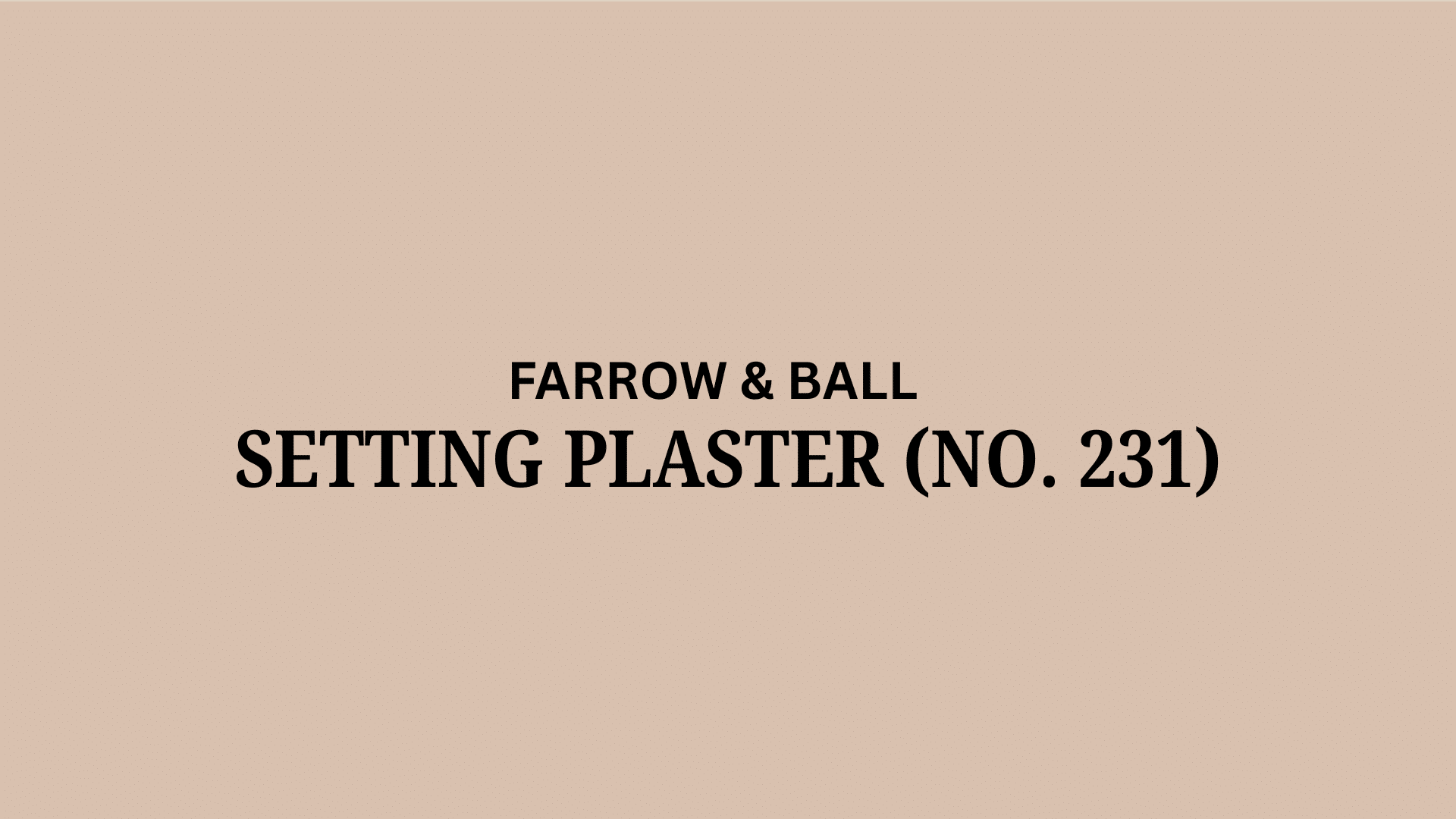 Farrow and Ball Setting Plaster (No. 231): A Review