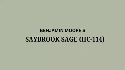 Saybrook Sage (HC-114) by Benjamin Moore: A Review